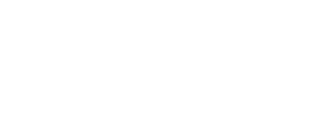 4PL_LOGO_BLANCO